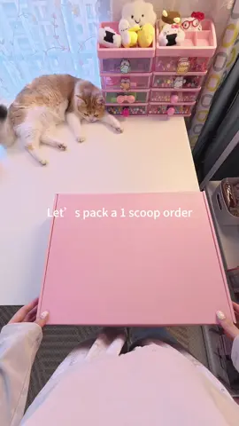 Hi Ariel, this is your order packing video, hope you like it!💕💕#luckyscoop #mysteryscoop #asmr #packingorders #mysterybox 