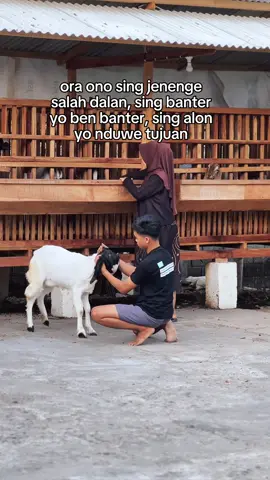 Semua punya tujuanya masing” 