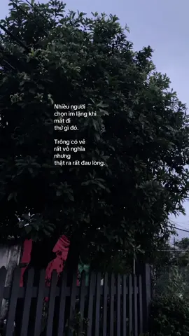 #hoangvu5300 🎏#xuhuongtiktok #viral #fyp 