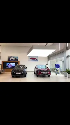 Haval Jolion Hev phong cách Châu Âu- Mức giá phổ thông,phân B+ rộng rãi bậc nhất tiết kiệm tối ưu #hev #phev #gwm #fyp #xunghuong 