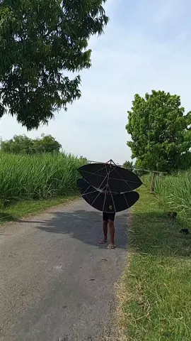 seng joki ngelindur saking ngelindure aku nganti ketubruk layangan