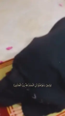 الف الحمدالله والشكر مستحيل اكو مثل فرحة النجاح بعد التعب حرفياً مشاعري بهذا اليوم مخربطه فرح وفخر بنفسي مستحيل انسى الايام الصعبه الي عشته بسادس والحجي من اقرب الناس الي الحمدالله والشكر نجحت وكسرت عيونهم 🙂‍↔️♥️♥️♥️#اكسبلورexplore #نجاح_الطلاب #سادسيون #سادس_علمي 