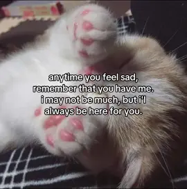 #foryou #viral #catlover #cutecats #vibes 