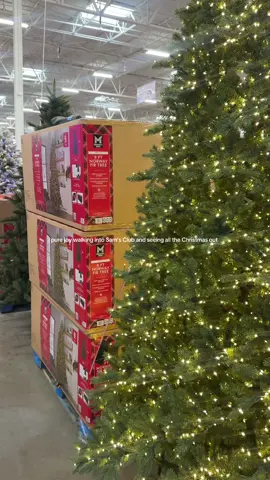 Christmas joy 🎅 #christmas #christmasaesthetic #christmasshopping #christmastok #fyp @Sam’s Club 
