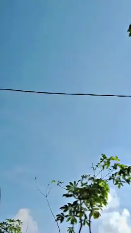 #fypシ゚