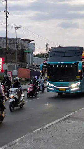 New Avante Grand Captain 2025 pertama ditanah Sulawesi milik PO Adhi putra (Eropa Style) AP042 #adhiputra #adhiputramakassarmorowali #grandcaptain #bussulawesi #celebesbislovers 