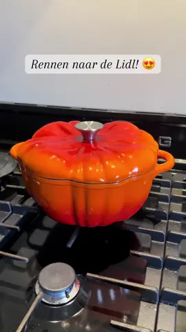 En dat voor maar €29,99! 😍🎃     @Lidl Nederland  #lidl #pumpkin #fyp #voorjou 