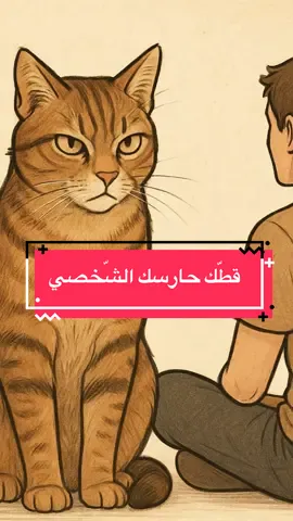 قطوك حارسك الشخصي😼 ___ #قطط #cats #fyp #explorer  #foryoupage 