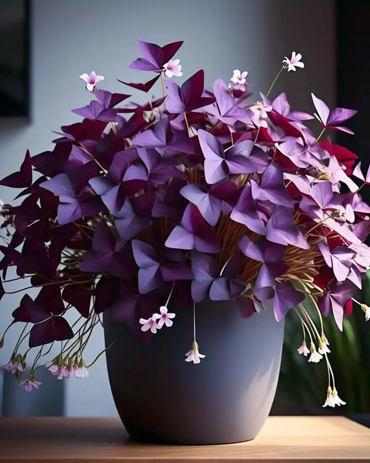 My one of the favourites!