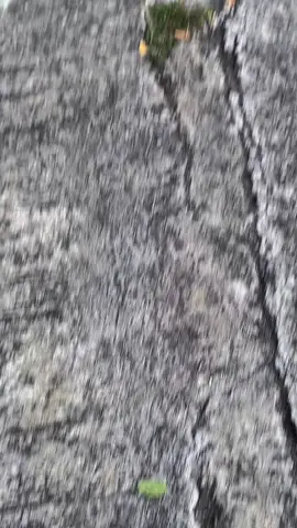 motor imut🗿#beatkarbu #tsid🇮🇩 #fyp #fypage #fypdongggggggg 