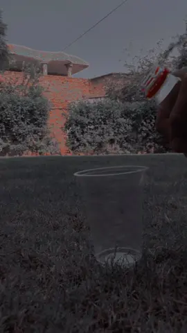 #creatorsearchinsights 