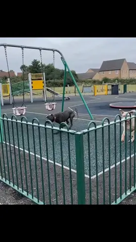 #fypp #viral 