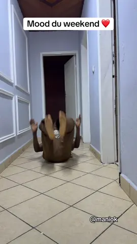 Mon humeur est partagé 😂