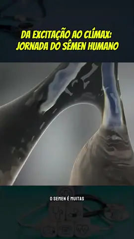 O sêmen reúne nutrientes, energia e vitalidade, desempenhando papel essencial na geração de nova vida.#saudemental #anatomia #saude #bemestar #corpo 