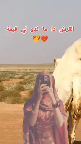 #الغبرون #جغلا_العـــــز #محمدحمدان_دقلو❤️🔥😎خط_احمر #جاھزية_سريع_حسم_في_كل_مكان #اهل_الباديه_اهل_جغلا_العز_تعالو_قريب 