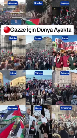 🔴Gazze İçin Dünya Ayakta #Gazze #DünyaAyakta #Filistin #İnsanlık #Direniş 