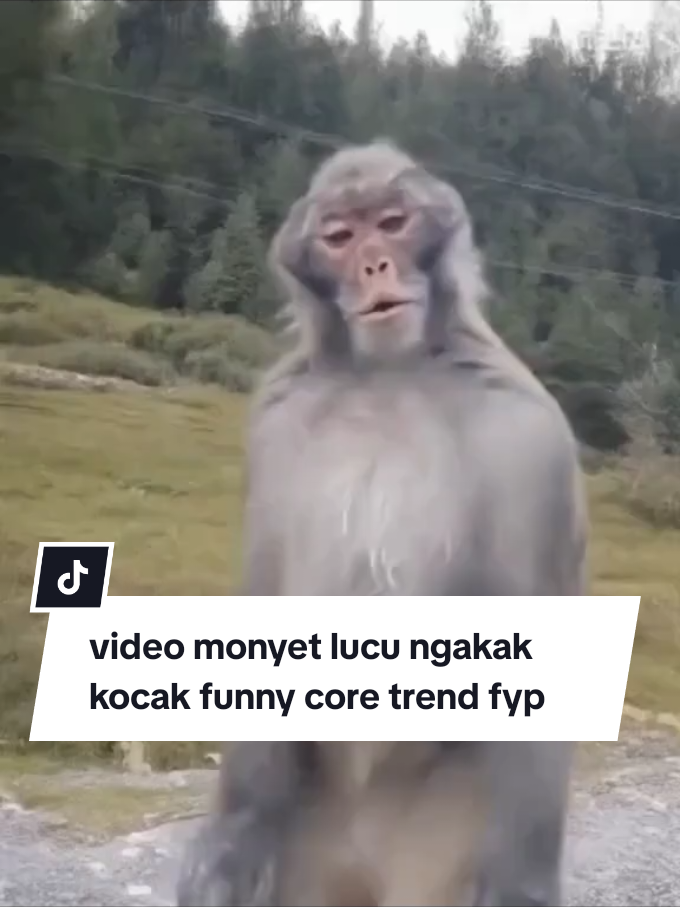 tag tmn kamu 😂 #videoviral #funnyvideos #funny #videolucu #core 