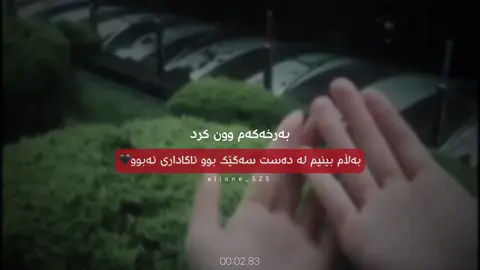 لە دەست سەگێک بوو🖤#alone_525 #alonee_525 