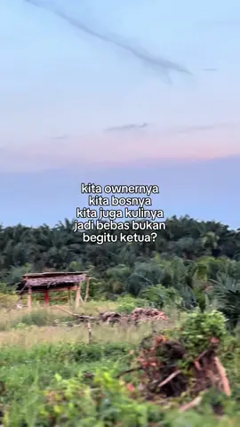 Menyala🔥🔥🔥.                                  #fyp #petanisawitindonesia🇮🇩 #kulisawitindonesia #sawitontiktok #sawitsumatra 