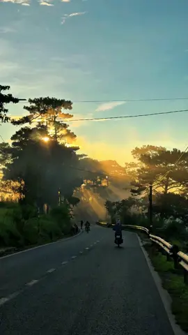 Con đường quen thuộc #dalat #chill #fyp #tiktoktrevel #dalattrip #dalatmemories 