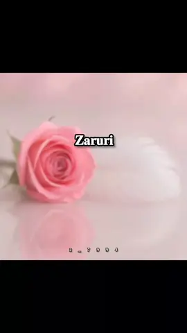 𝐁𝐨𝐡𝐭 𝐳𝐚𝐲𝐚𝐝𝐚 𝐳𝐚𝐫𝐮𝐫𝐢 𝐡𝐚𝐢 𝐚𝐩𝐤𝐚 𝐡𝐨𝐧𝐚 #poerty #lover #foryou #trending #viral @. 
