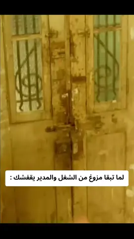 حبيب قلبي خطوة عزيزة 😂