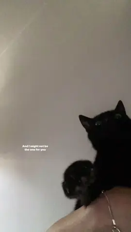 #lyrics 