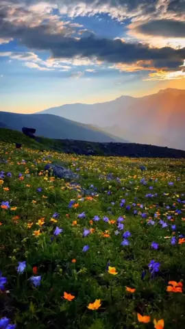 #sabado #paratii #Dios #family 