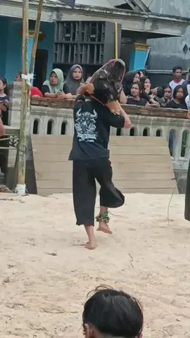 #sekararumbudoyo #turonggosekararumbudoyo @Sekar Arum Budoyo