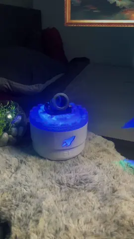Why doesn’t everyone own one of these yet? 🤯 The cannon that relaxes, Check bio! #humidifier #aromas #humidifiercannon #aromatherapy 