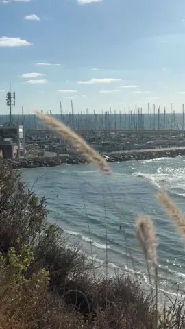 Dia hermoso en la playa de tel aviv🩷 #telaviv #israel #argentinaenisrael #telavivbeach #israeltiktok 