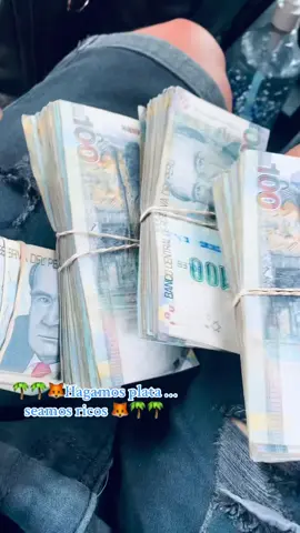 🌴🌴🦊Yo quiero Plata … plata y plata 🦊🌴🌴#tingomaria🐢🌴🦥🐢🐍 #viraltiktok #fypシ゚ #pucqllpacity😑💚🌴❤️ #viralvideos 