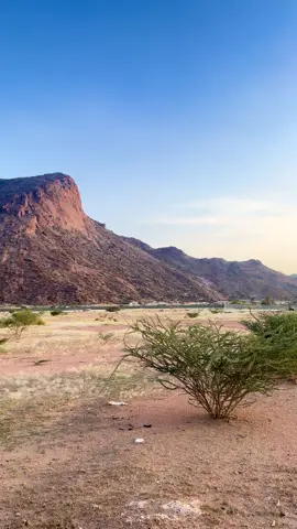 #اكسبلورexplore #fypシ゚ #viral_video #حركة_إكسبلور #اكسبلور 