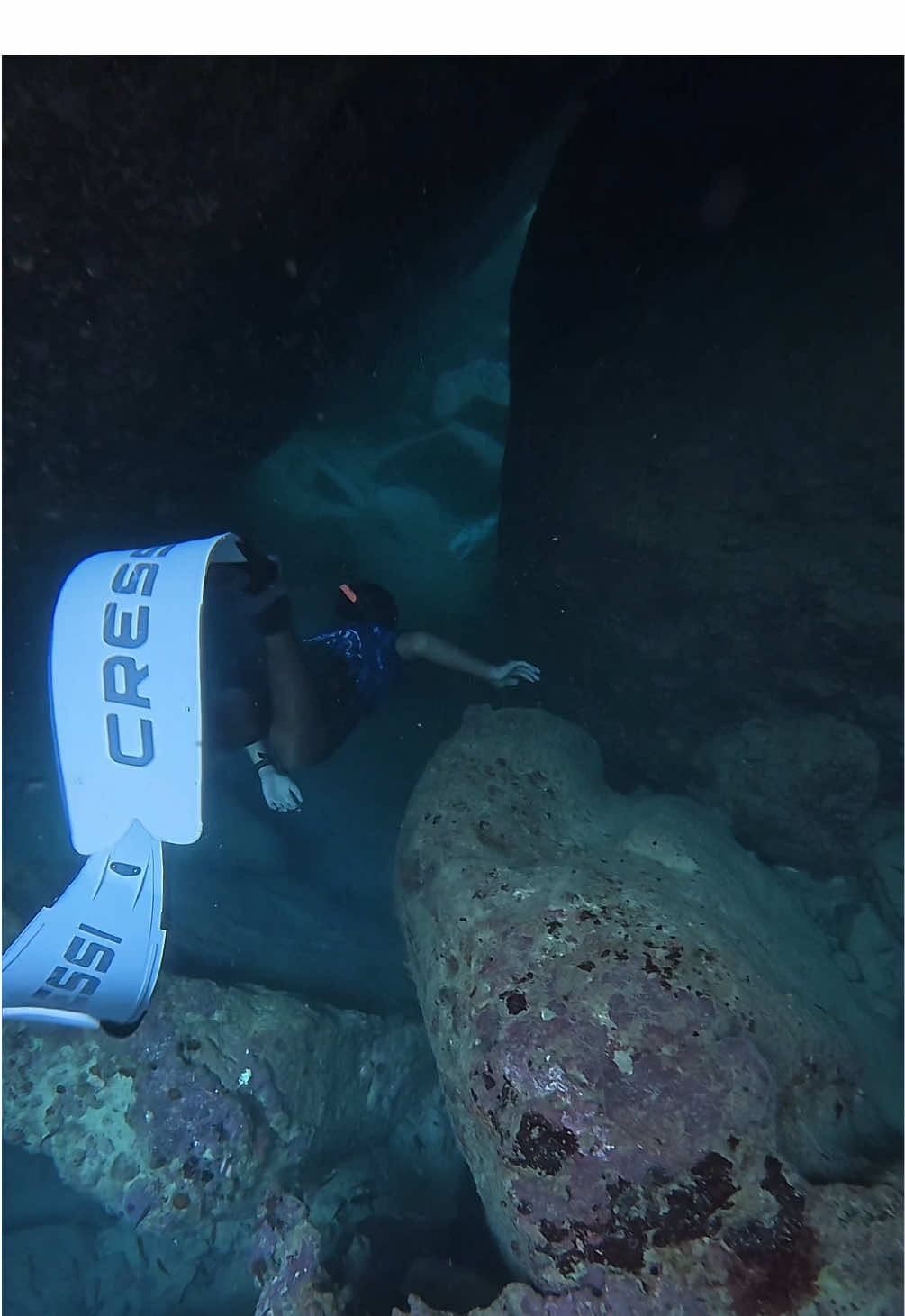 Adrenaline rush >>>> 📸: @man snorkeling guide 