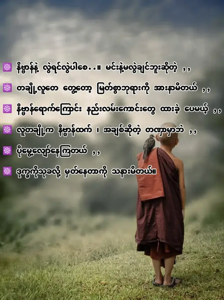 #သသာနာရောင်ဝါထွန်းလင်းပါစေ🙏🙏🙏☸️☸️☸️ #pppppppppppppppppppppp #viraltiktok #fyppppppppppppppppppppppp #tiktokviral 