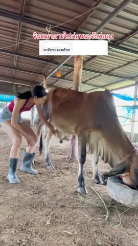 55555 #ธาราทิพย์ฟาร์ม