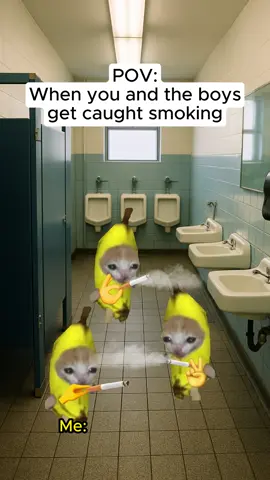 When you and the boys get caught smoking 🚬 😂 #catmemes #relatable #catmeme #school 