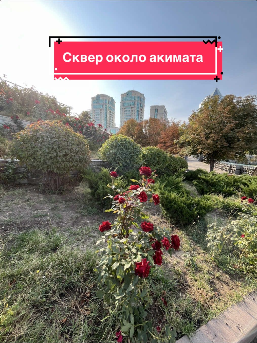 Рядом с городским акиматом Алматы построят сквер 🥰 #алматы #казахстан #акимат 