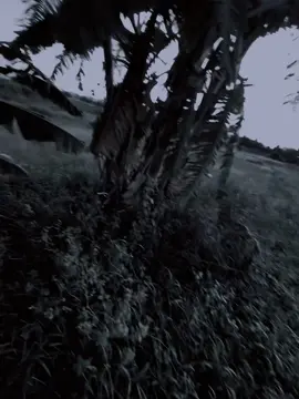 远不要把你的秘密告诉 风，因为风会把它吹到整个森林...！