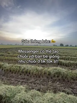 #_hoang_1807🧸 #fyp #tamtrang #fbtxuhuong #ctxkxuhuong 