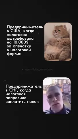 тгк: nikita_solovyovv