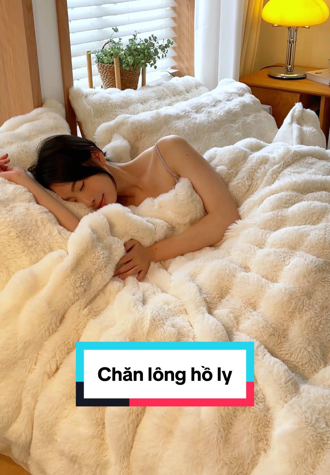 Một chiếc chăn ấm cả mùa đông🥰 #chanlongholy #chanmuadong 