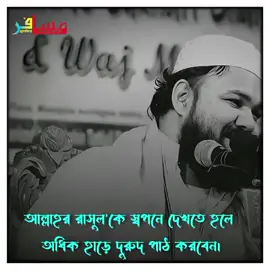 হযরত আল্লামা ফুলতলী ছাহেব কিবলাহ রহ এর নাতী হযরত মাওলানা হাফিজ মারজান আহমদ চৌধুরী ফুলতলী পিএইচডি গবেষক এরফোট বিদ্যালয় জামানী 