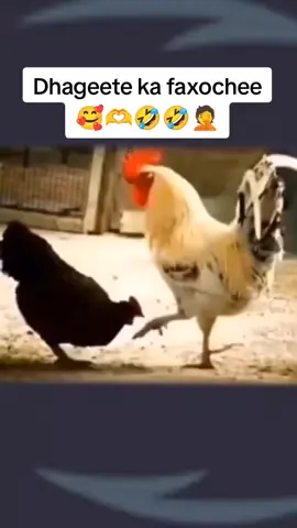 #muslimtiktok🤲🤲🕋🕋🕌 