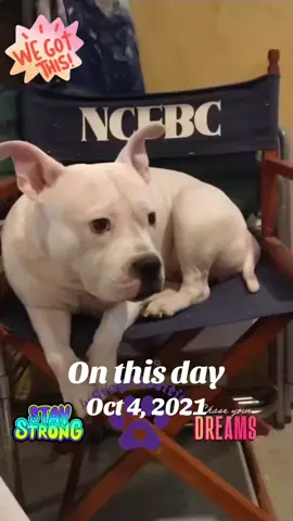 #onthisday