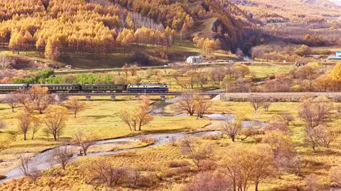 “Tôi cứ nghĩ rằng, chú chim nhỏ không bay qua được biển lớn là bởi vì nó không có dũng khí, sau này mới biết, không phải vì chim nhỏ không thể bay qua, mà là bởi vì bờ biển bên kia, không có ai đợi nó...” #fyp #xh #xhtiktok #binhyen 
