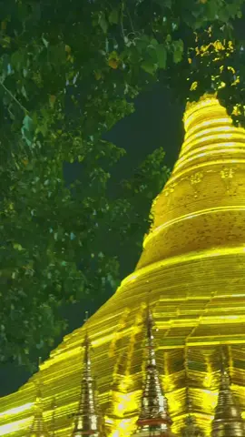 #ရွှေတိဂုံစေတီတော် #🙏🏻🙏🏻🙏🏻 #သီတင်းကျွတ် #myanmartiktok🇲🇲🇲🇲 #fypシ゚  @𝐕𝐞𝐧 𝐓𝐡𝐚𝐰 𝐏𝐚𝐫 𝐊𝐚  @𝐕𝐞𝐧 𝐓𝐡𝐚𝐰 𝐏𝐚𝐫 𝐊𝐚  @𝐕𝐞𝐧 𝐓𝐡𝐚𝐰 𝐏𝐚𝐫 𝐊𝐚 