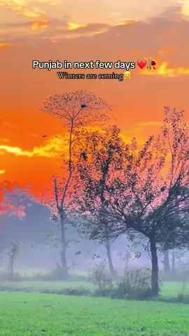 Punjab in next few days❤️|| winter is coming ||#forupage #viral_video #wintervibes #پنجاب #پنڈاں_والے👑 