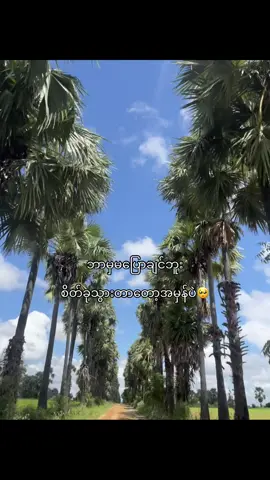 အတည်🫩#livephoto #views #fypシ #tiktok 