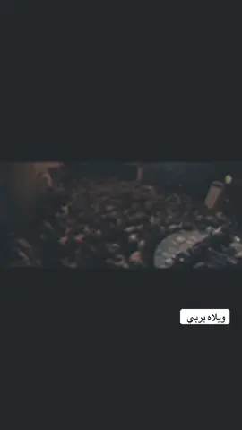 تعال اسكن سواد العين  علي الوائلي #علي_الوائلي #علي_الوائلي #حسين_اهات_الذاكر_اجود_الكعبي #حسين_اهات_الذاكر_اجود_الكعبي #tiktok 